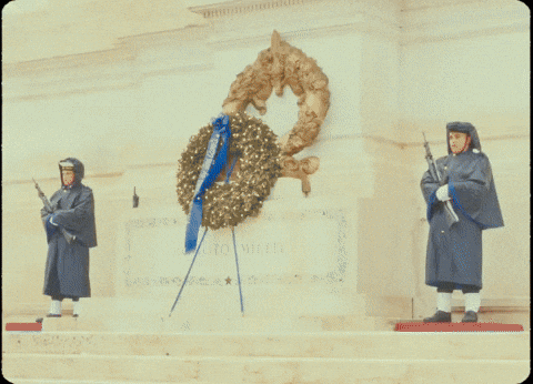 Prince George Pg GIF by IDK