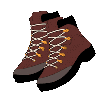 Mt Rainier Shoes Sticker