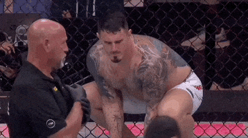 Mixed Martial Arts Sport GIF by UFC