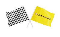 car sticker by Dunlop Germany