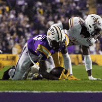 Death Valley Football GIF by LSU Tigers