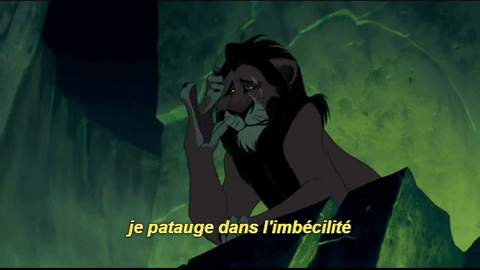 "je patauge dans l'imbécilité" (Roi Lion)