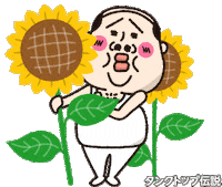Summer Sunflower Sticker