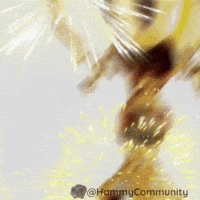 Winner Crown GIF by Sad Hamster