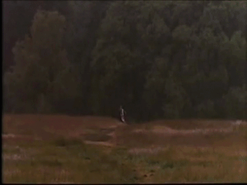 monty python and the holy grail GIF