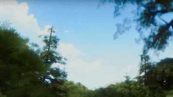 Fun Flying GIF by Magic Eden