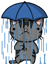 Cat Raining Sticker by Tutimon