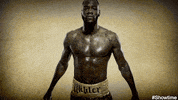 deontay wilder punch GIF by SHOWTIME Sports