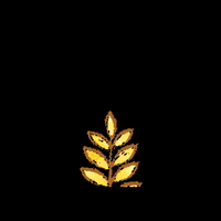 Life Bread GIF by JACQUET BROSSARD