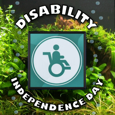 Disabilty GIF