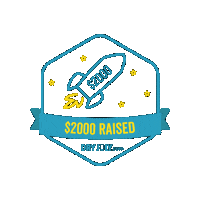 Rocket Fundraiser Sticker by DryJuly