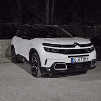 Citroen C5 GIF