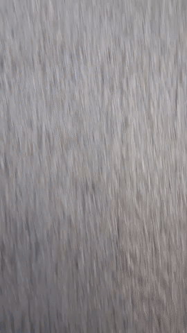 Simongip giphyupload GIF