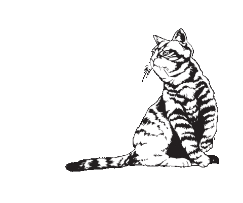 Cat Sticker by Lauren Records