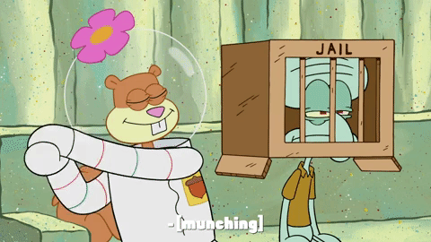 season 9 patrick the game GIF by SpongeBob SquarePants