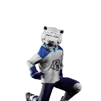 Hockey Hokej Sticker by Tipsport extraliga