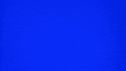 Under Water Fish GIF