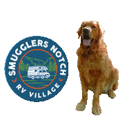 smugglersnotchrvvillage rv rangertrooper ranger trooper smugglersnotchrvvillage Sticker