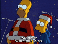Season 1 GIF by The Simpsons