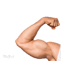 Fitness Workout Sticker by Vitamedic Indústria Farmacêutica