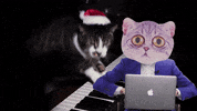 equipebeaudet  GIF