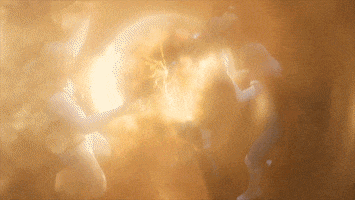 Mark Millar Fight GIF by NETFLIX