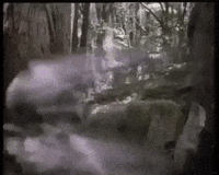 battle for endor wicket GIF by mdleone