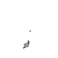 Flourandflowerbakery yum delicious fresh tasty Sticker