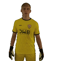 Happy Football Sticker by BFC Dynamo