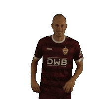 Football Soccer Sticker by BFC Dynamo