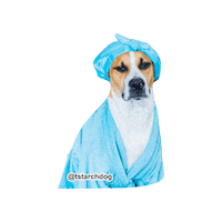 tstarch dog blue dogs chill Sticker