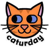 Saturday Morning Cat Sticker by Animanias