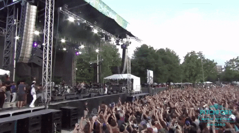 pitchfork music festival GIF by Pitchfork