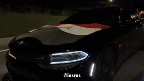 Celebrating Middle East GIF