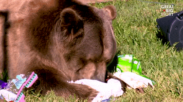 Hungry Feed Me GIF by Great Big Story
