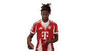 Fc Bayern Football Sticker by Bundesliga