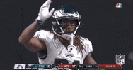 Philadelphia Eagles Football GIF by NFL