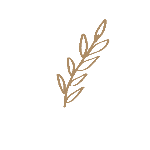 bellaqsboutique simple minimal leaf leaves Sticker