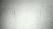 art nuke GIF by hoppip