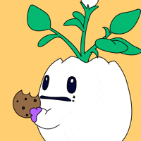 Hungry Candy GIF by Magic Eden