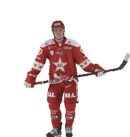 Stjernen Elite Sticker by StjernenHockey