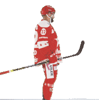 Stjernen Elite Sticker by StjernenHockey