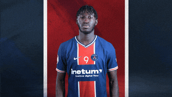 France Sport GIF by Paris Saint-Germain Handball