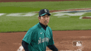 Regular Season Sport GIF by MLB