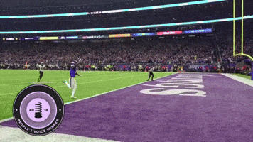 Celebrate Stefon Diggs GIF by Minnesota Vikings