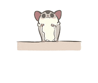 Sugar Glider Sticker