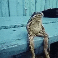 GIF by Production Club