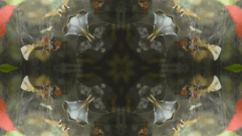 Art Love GIF by jorgemariozuleta