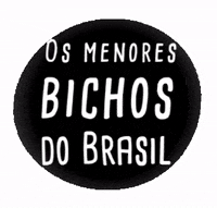 menoresbichosdobrasil animals nature animal book GIF
