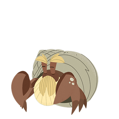 Hermit Crab Animation Sticker by Puffin Rock